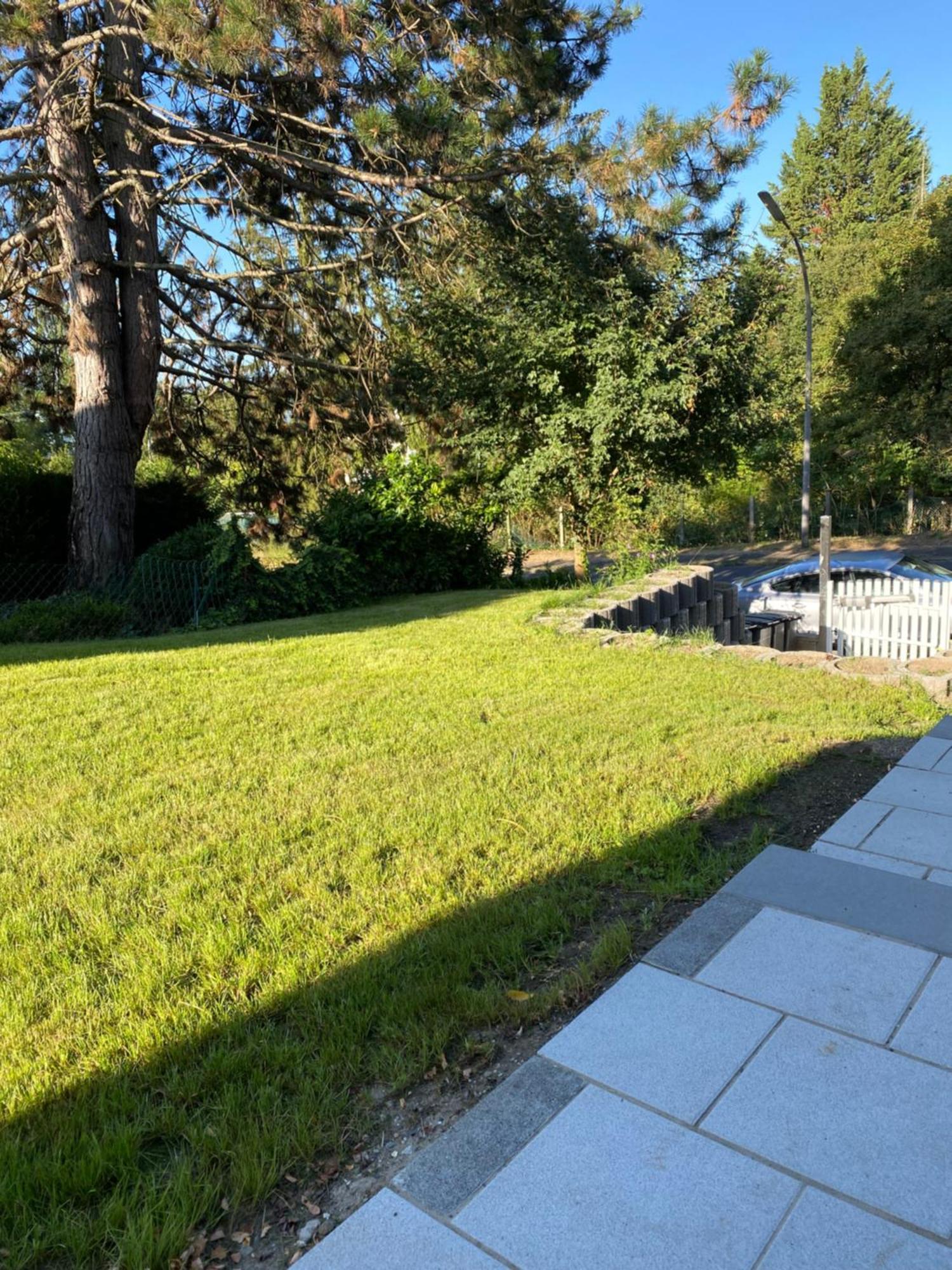 Deluxe Apartment Jl Mit Terrasse Wiesbaden Dış mekan fotoğraf
